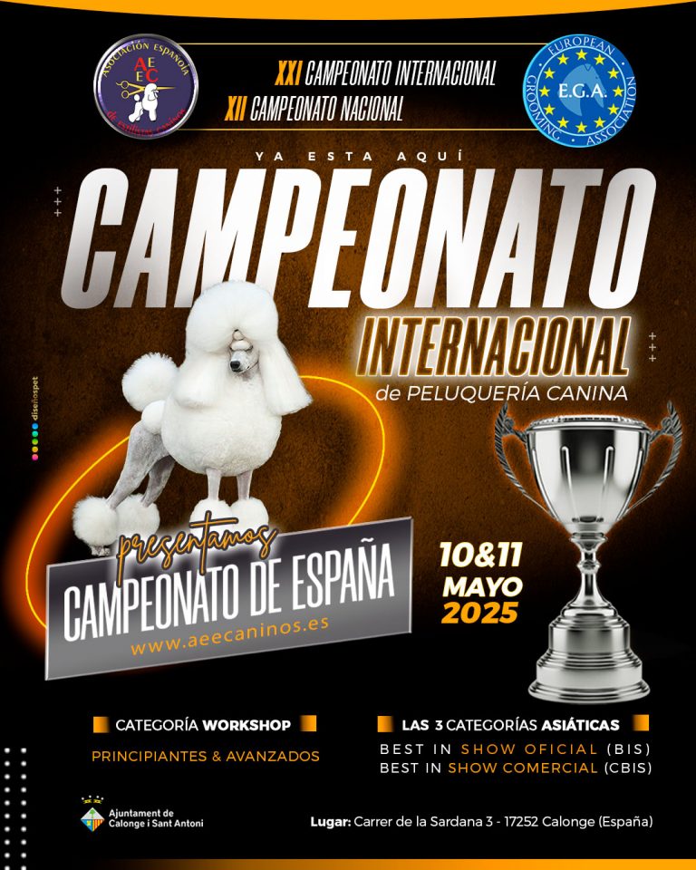 Campeonato de peluquería canina