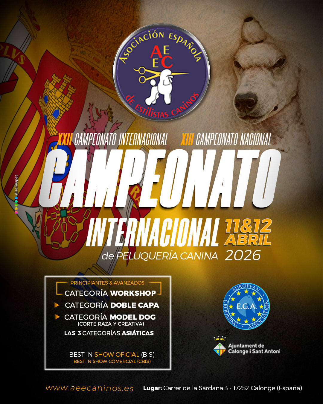 Flyer de información del Capeonato AEEC